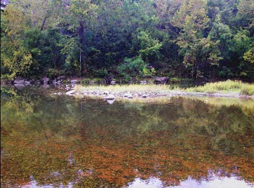 Crystal Clear Water...Click here to see the image larger