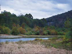 Buffalo River... Click here to see the image larger