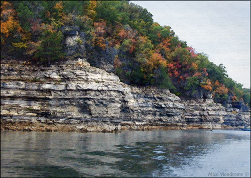 We saw lots of color in the leaves at Bull Shoals...Click here to see the image larger