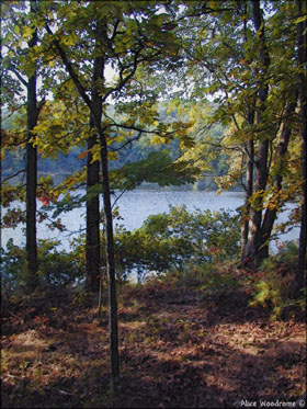 Cove Lake...Click here to see the image larger