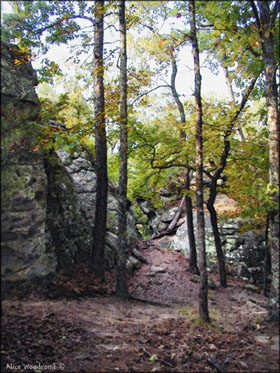 Bear Cave Area...Click here to see the image larger