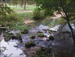 Roaring River State Park...Click here to see the image larger