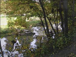 Roaring River State Park...Click here to see the image larger