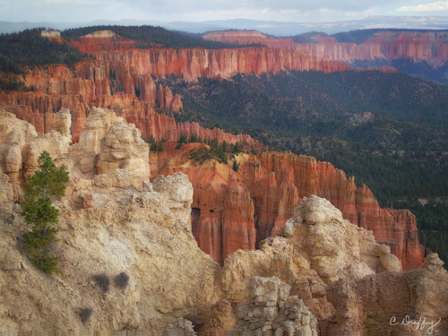 Bryce Canyon- Rainbow Canyon Overlook