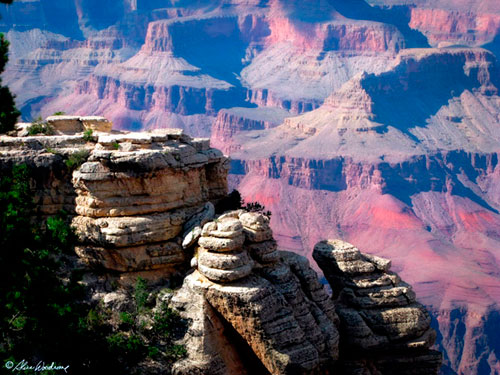 The Grand Canyon