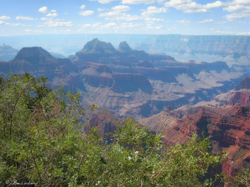 Canyon Trip North Rim