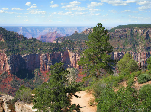 Grand Canyon at the North Rim