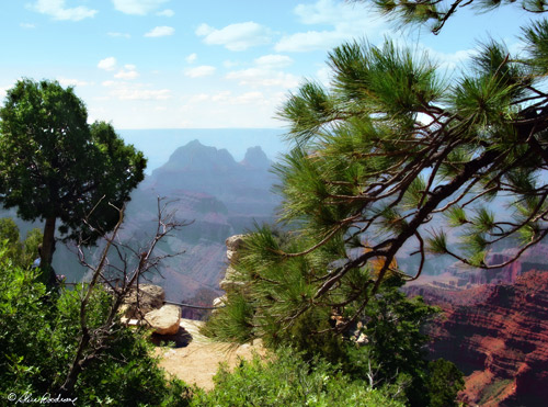 Canyon Trip North Rim