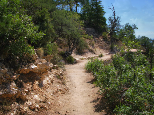 Bright Angel Trail