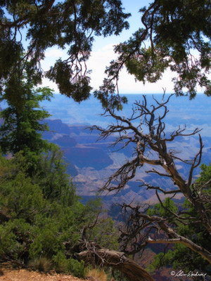 Canyon Trip North Rim