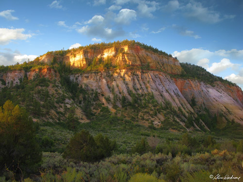 Zion National Park