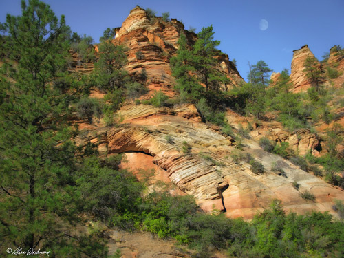 Leaving Zion