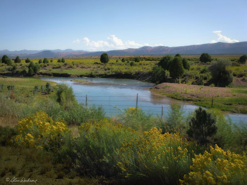 The Sevier River