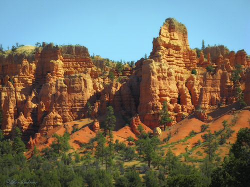 Red Canyon Area