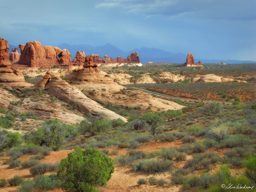 Arches National Park