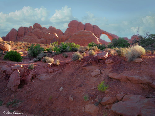 Arches National Park