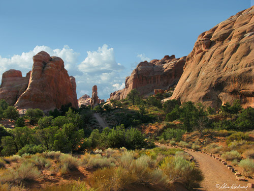 Trail to Landscape Arch