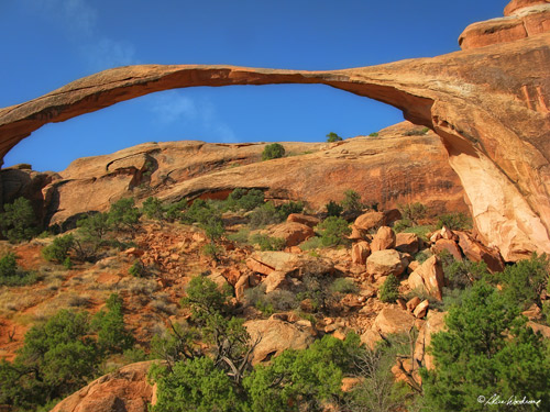 Trail to Landscape Arch