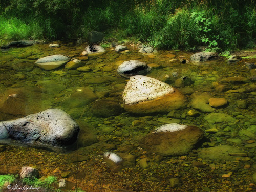 Creek on the Navajo Reservation