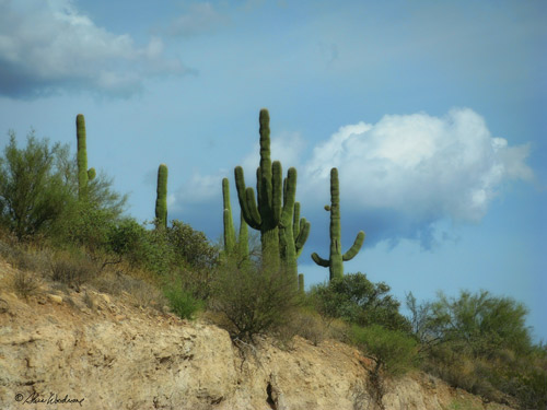 North of Phoenix, Arizona