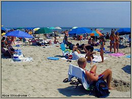 beach scene with people