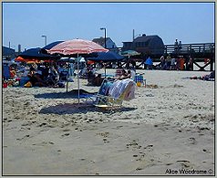 beach scene with people