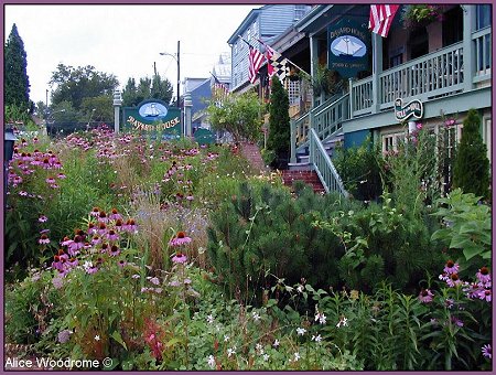 Chesapeake City garden