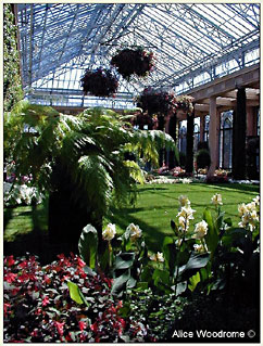 conservatory