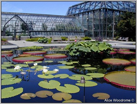 Longwood Gardens