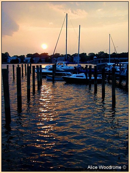 marina