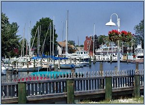 marina with hanging basket of flowers