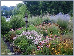 neighborhood garden