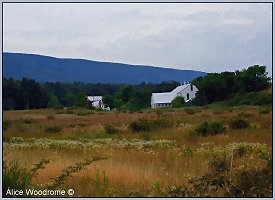 Countryside