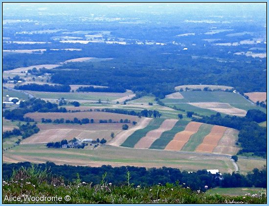 View from a Pennsylvania mountain