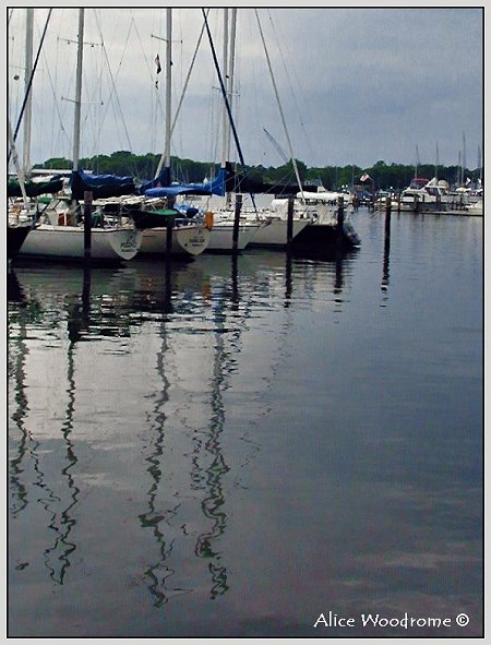 Marina on the Chesapeake Bay