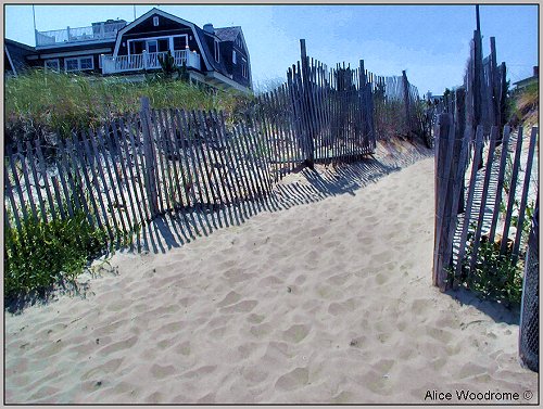 Beach along the Delaware