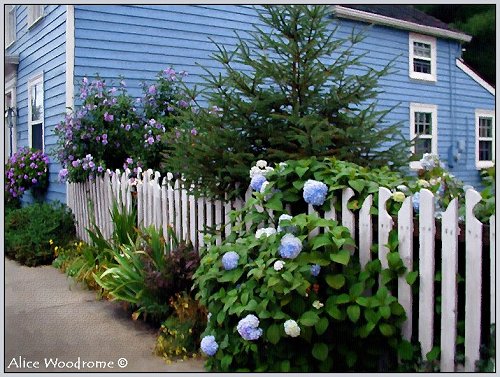 Picket Fence