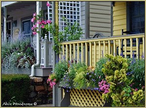 Shops with flowers