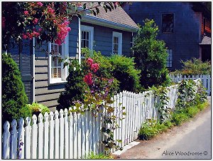 Picket Fence