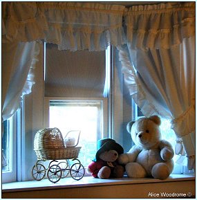 Teddy bear in window