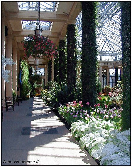 Longwood Gardens conservatory