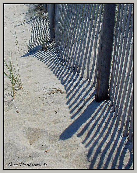 Sand fence