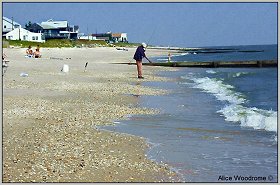 fisherman on beach