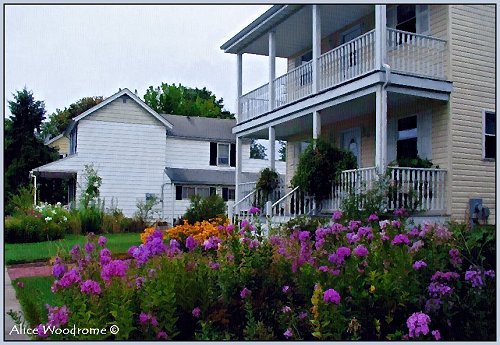 Neighborhood with flowers