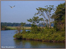 wild life refuge