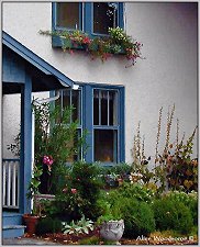 house with flowers