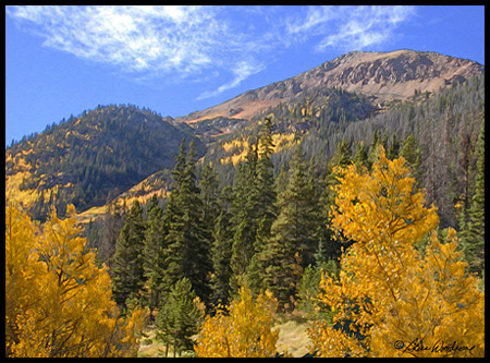 We could see right away the aspen trees were going to be beautiful