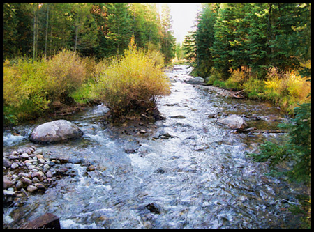 We heard the bubbling creek from our condo balcony