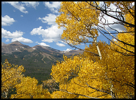 mountains, aspen, and a great October sky