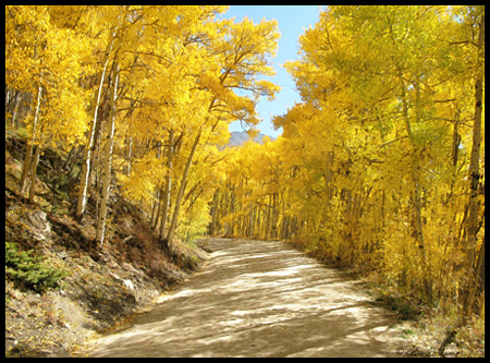 I loved these corridors of yellow